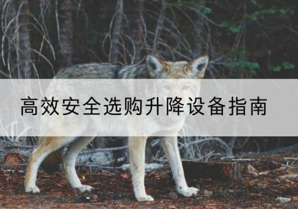 海门升降货梯厂家推荐-*安全选购升降设备指南