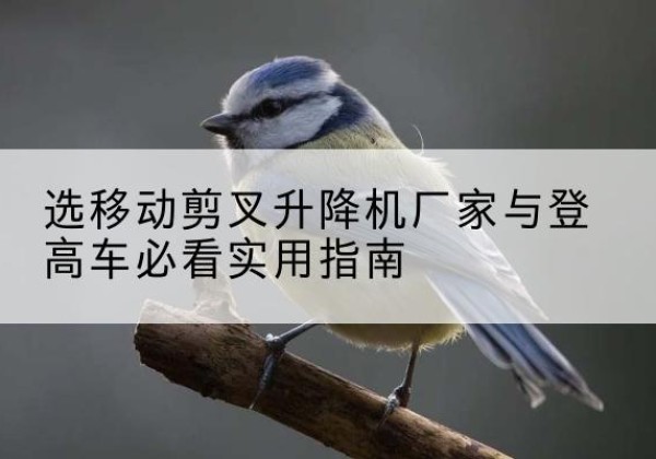 海门电动升降机厂家-选移动剪叉升降机厂家与登高车必看实用指南